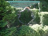 04 - Butchard Gardens  - IMGA0248